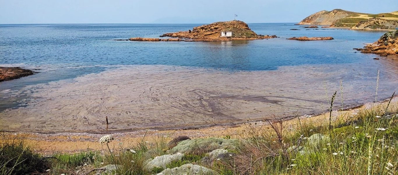 Θαλάσσια βλέννα στη Λήμνο - Δεν εμπνέει ανησυχία στους επιστήμονες